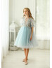 Baby Blue Embroidery Tulle Chic Flower Girl Dress